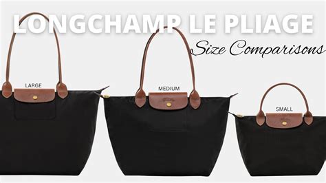 longchamp dimensions